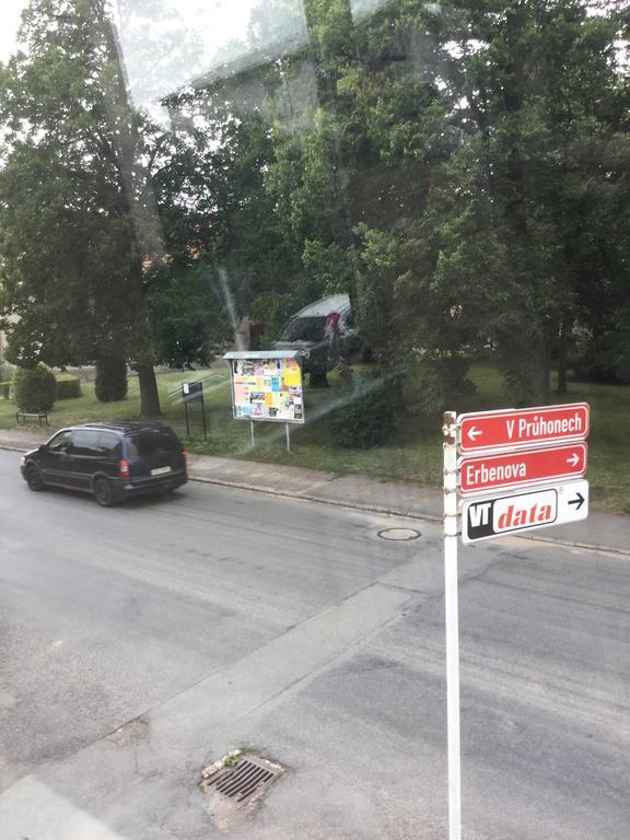 Lydiavi Lejlighed Vysoké Mýto Eksteriør billede